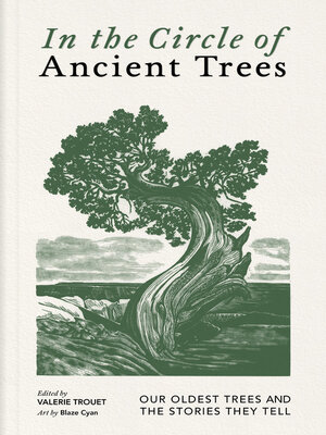 cover image of In the Circle of Ancient Trees